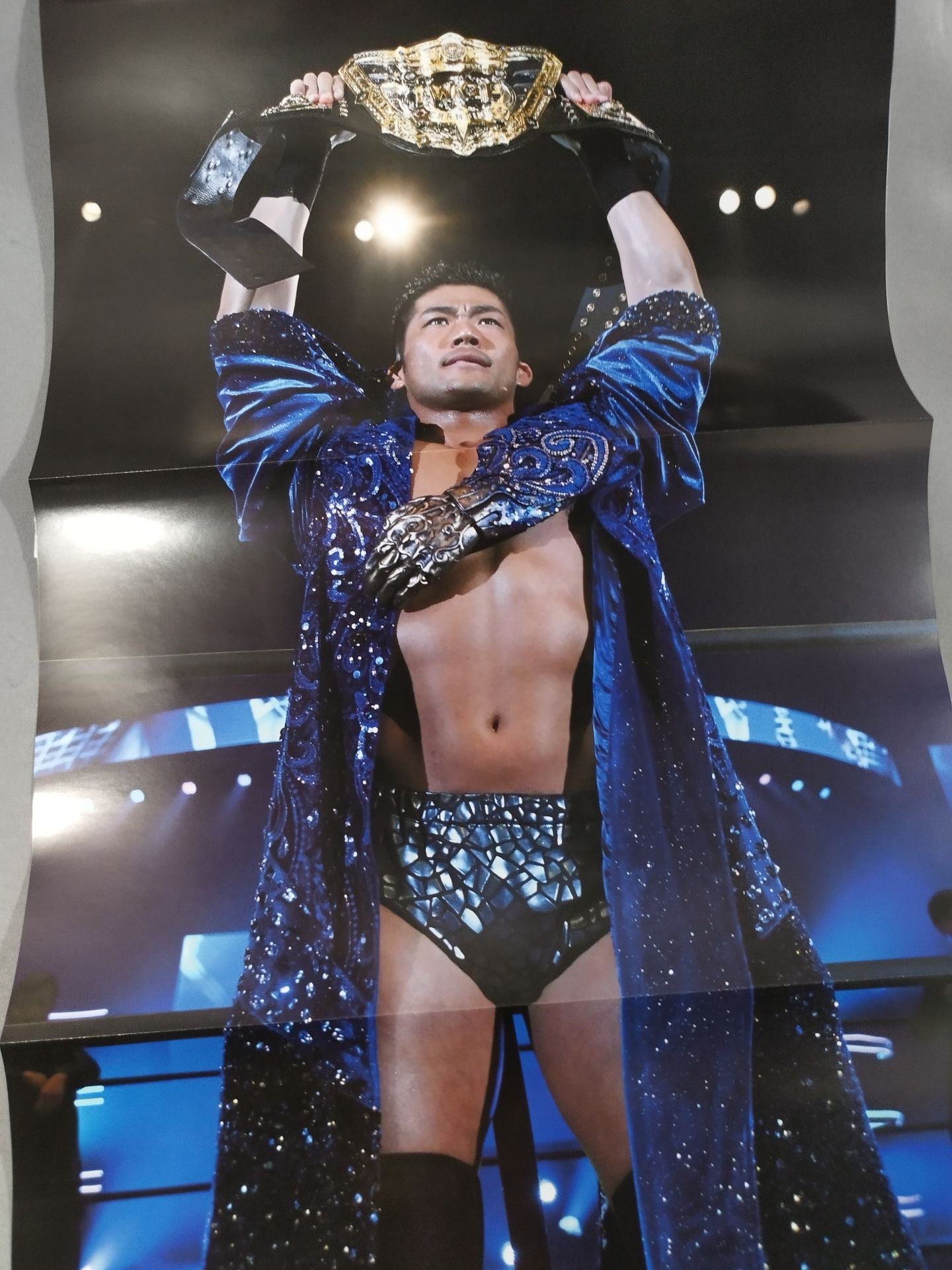 Weekly Pro Wrestling 2246