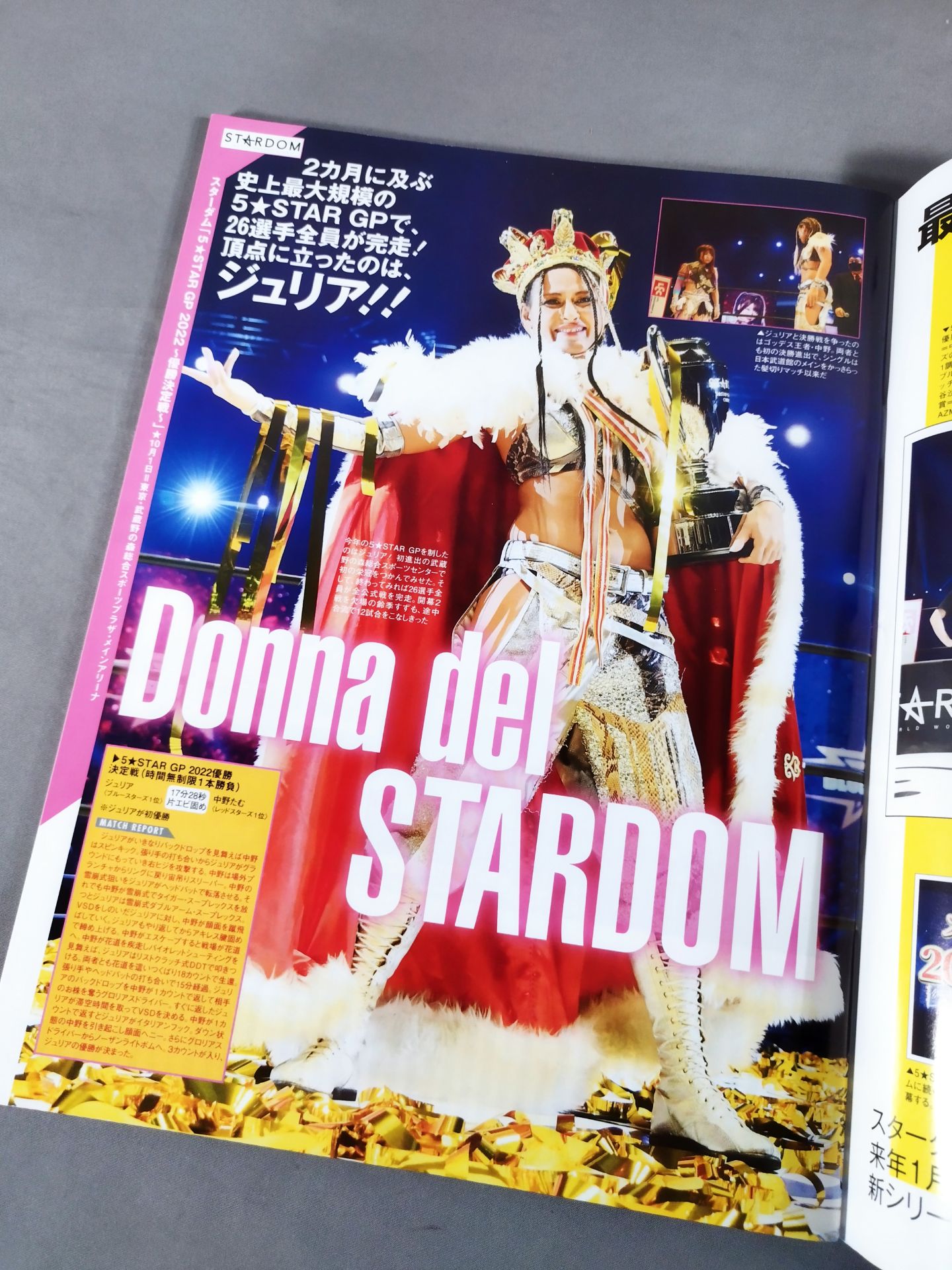 週刊プロレス2208