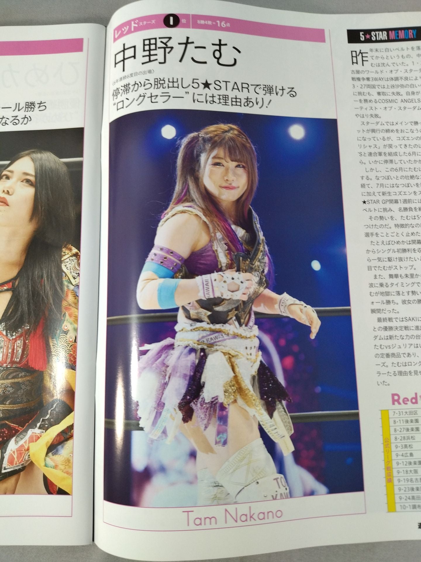 週刊プロレス2208