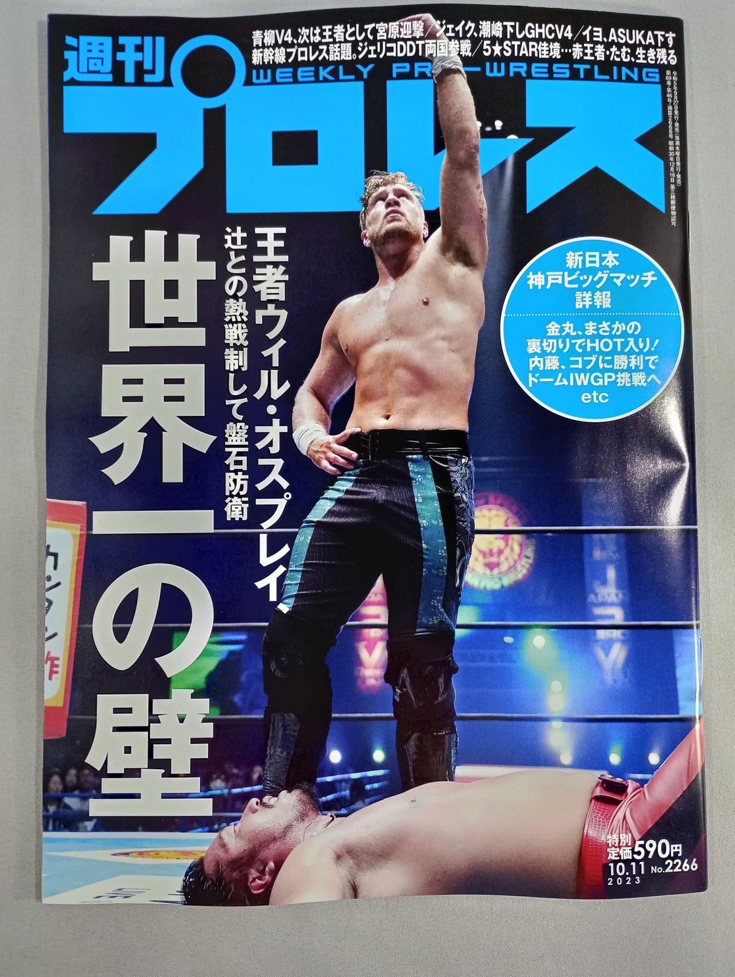Weekly Pro Wrestling 2266