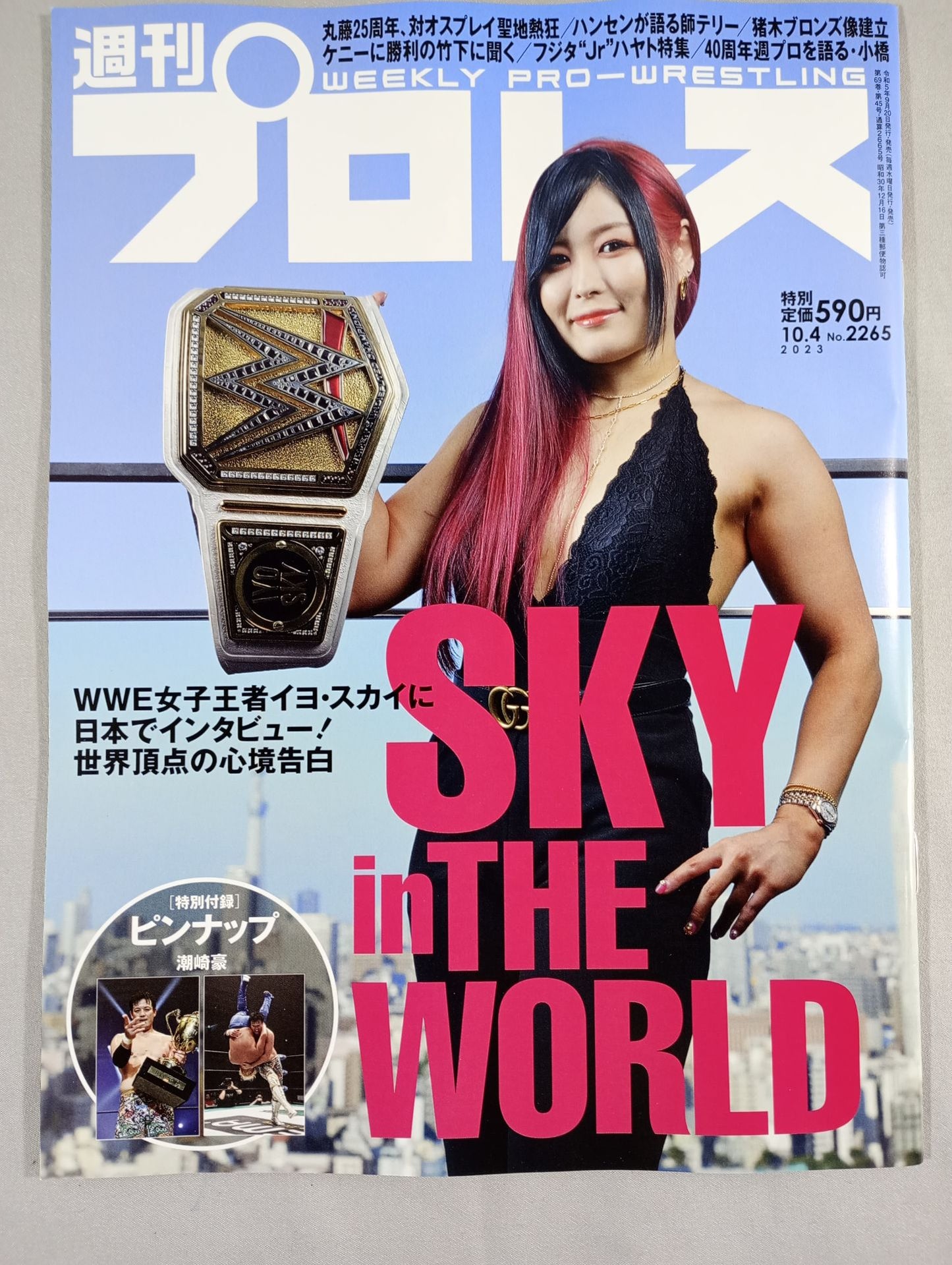 週刊プロレス2265