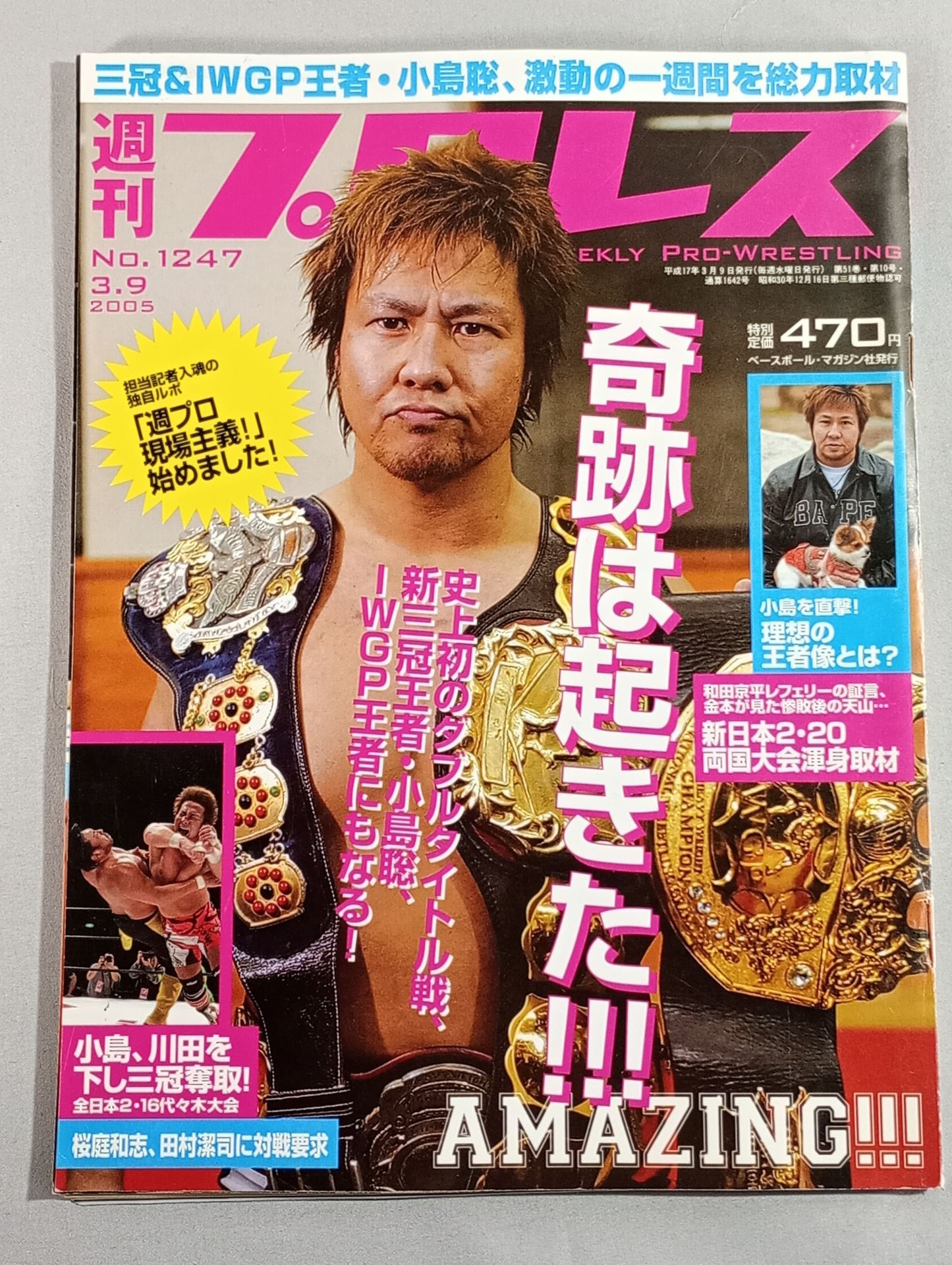 Weekly Pro Wrestling 1247