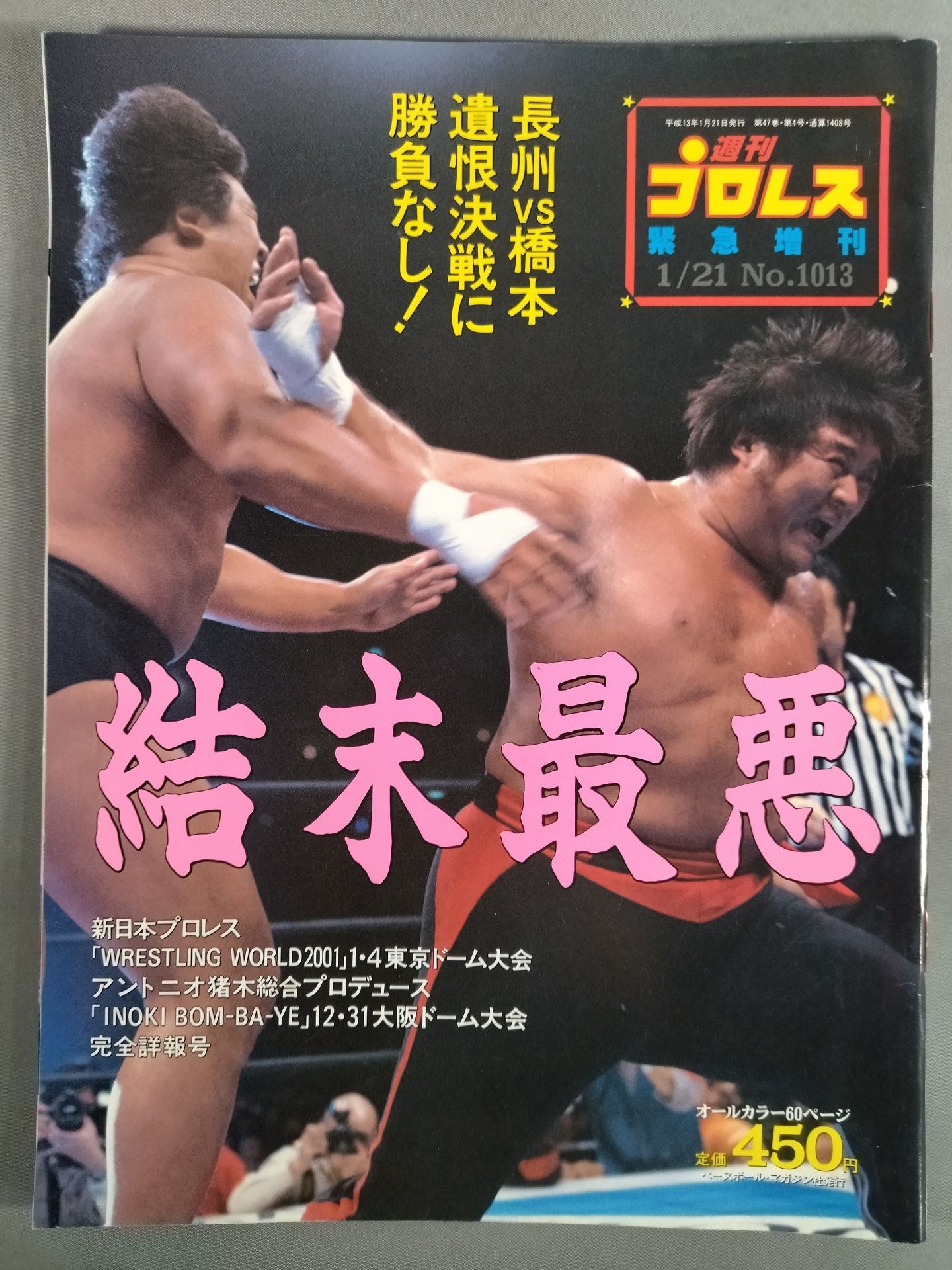 週刊プロレス1013