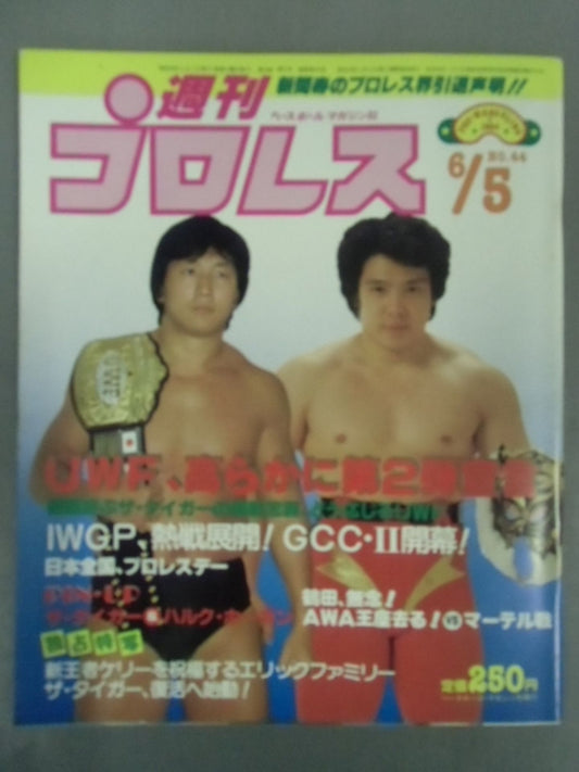 Weekly Pro Wrestling 44