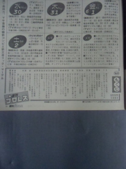 Weekly Pro Wrestling 44