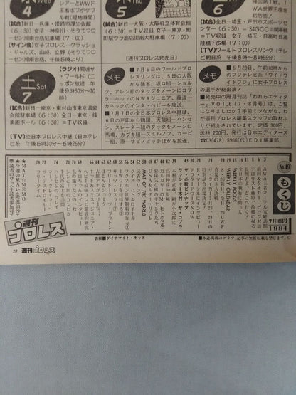 Weekly Pro Wrestling 49