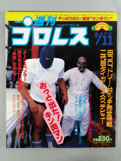 Weekly Pro Wrestling 58