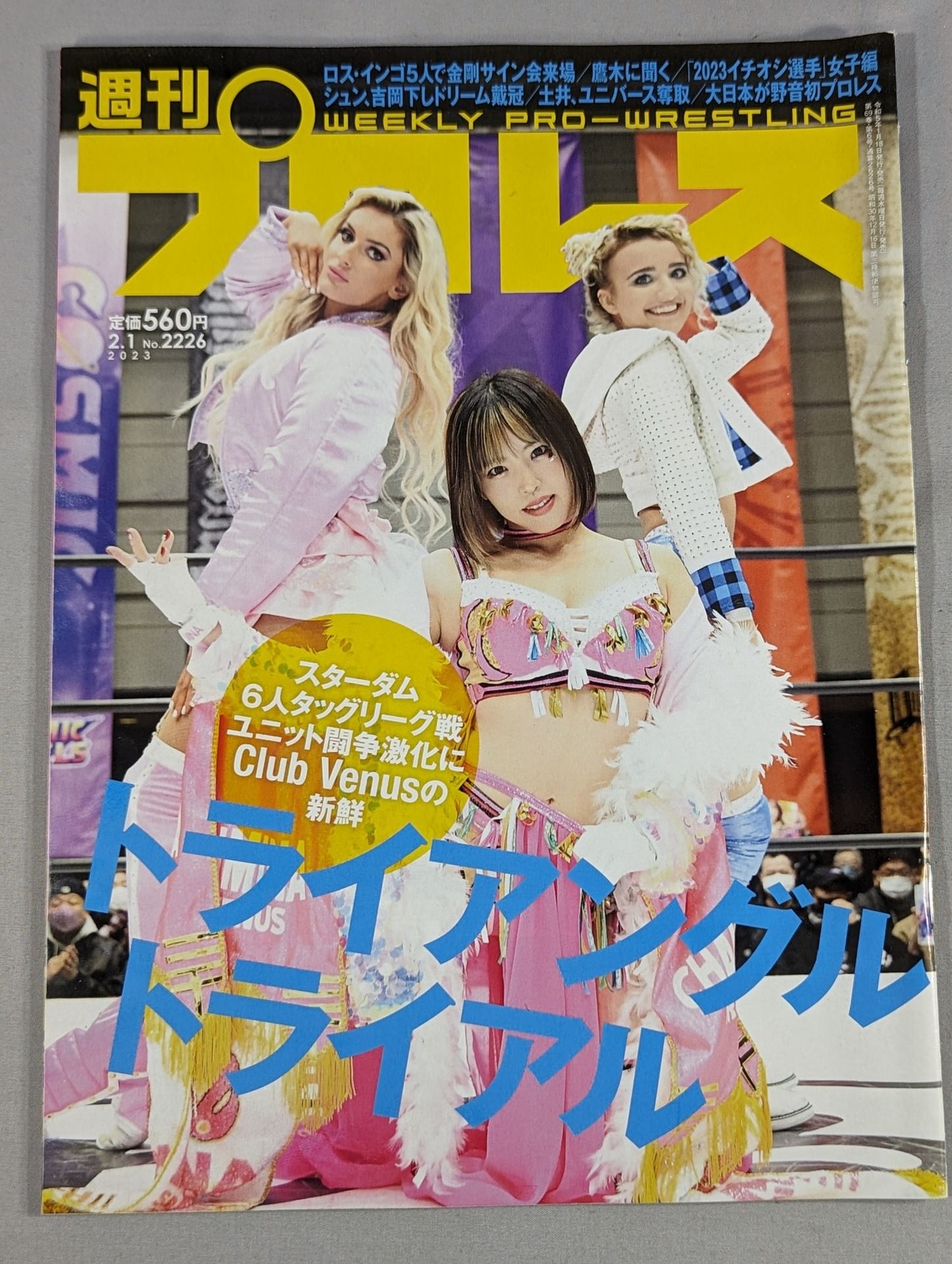 週刊プロレス2226