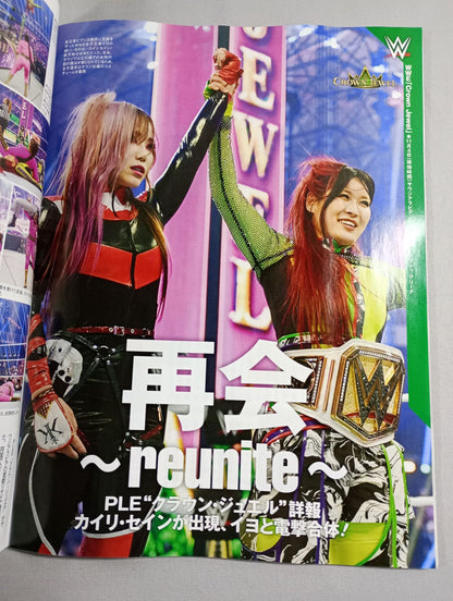 Weekly Pro Wrestling 2273