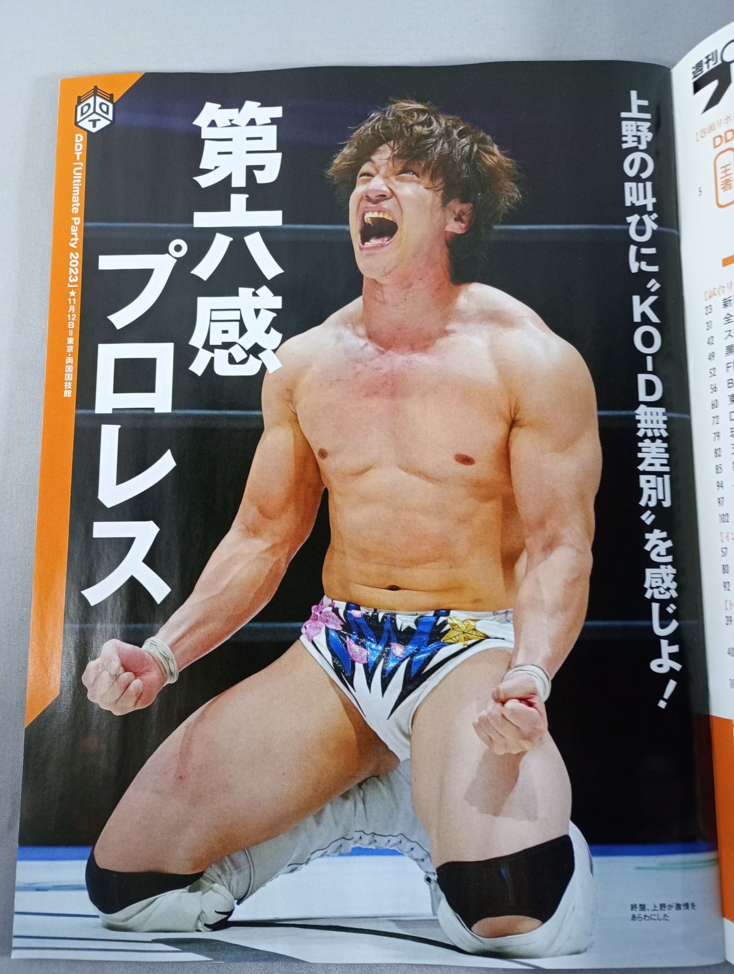 週刊プロレス2274