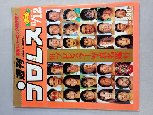 Weekly Pro Wrestling 462