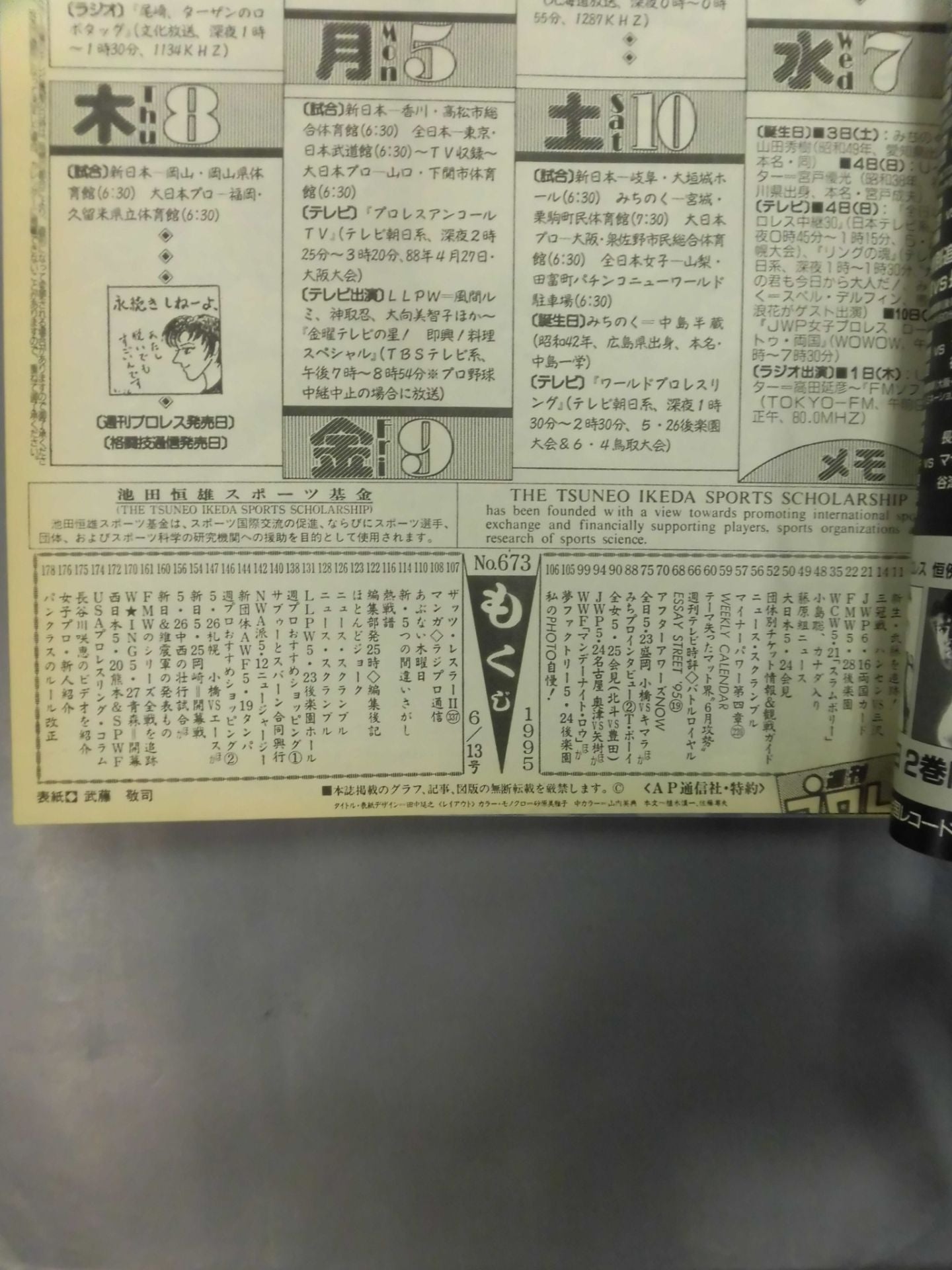 Weekly Pro Wrestling  673