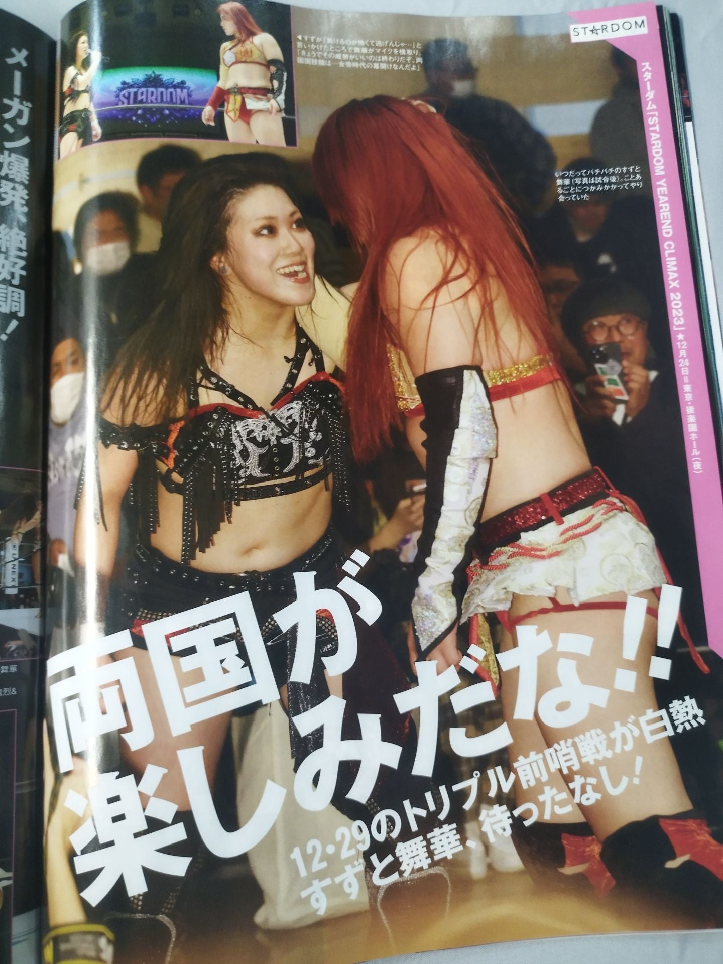 Weekly Pro Wrestling 2281