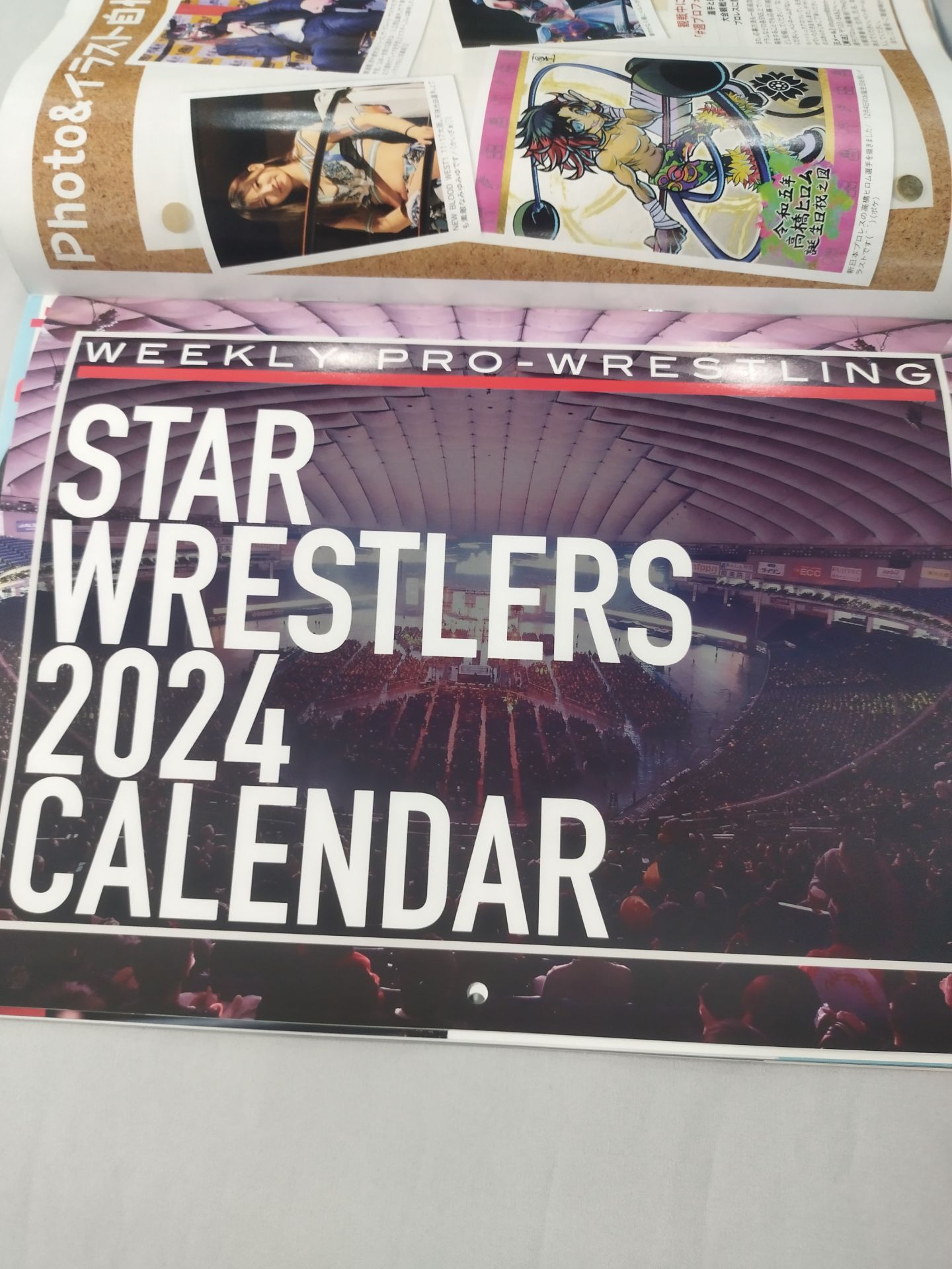 Weekly Pro Wrestling 2281