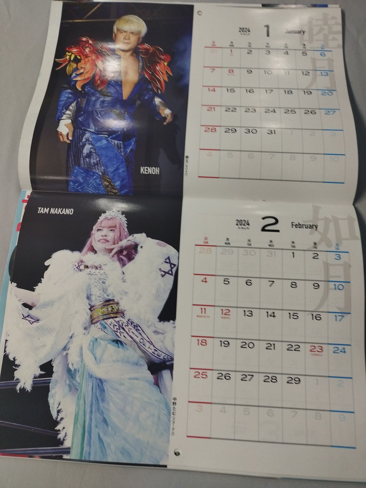 Weekly Pro Wrestling 2281