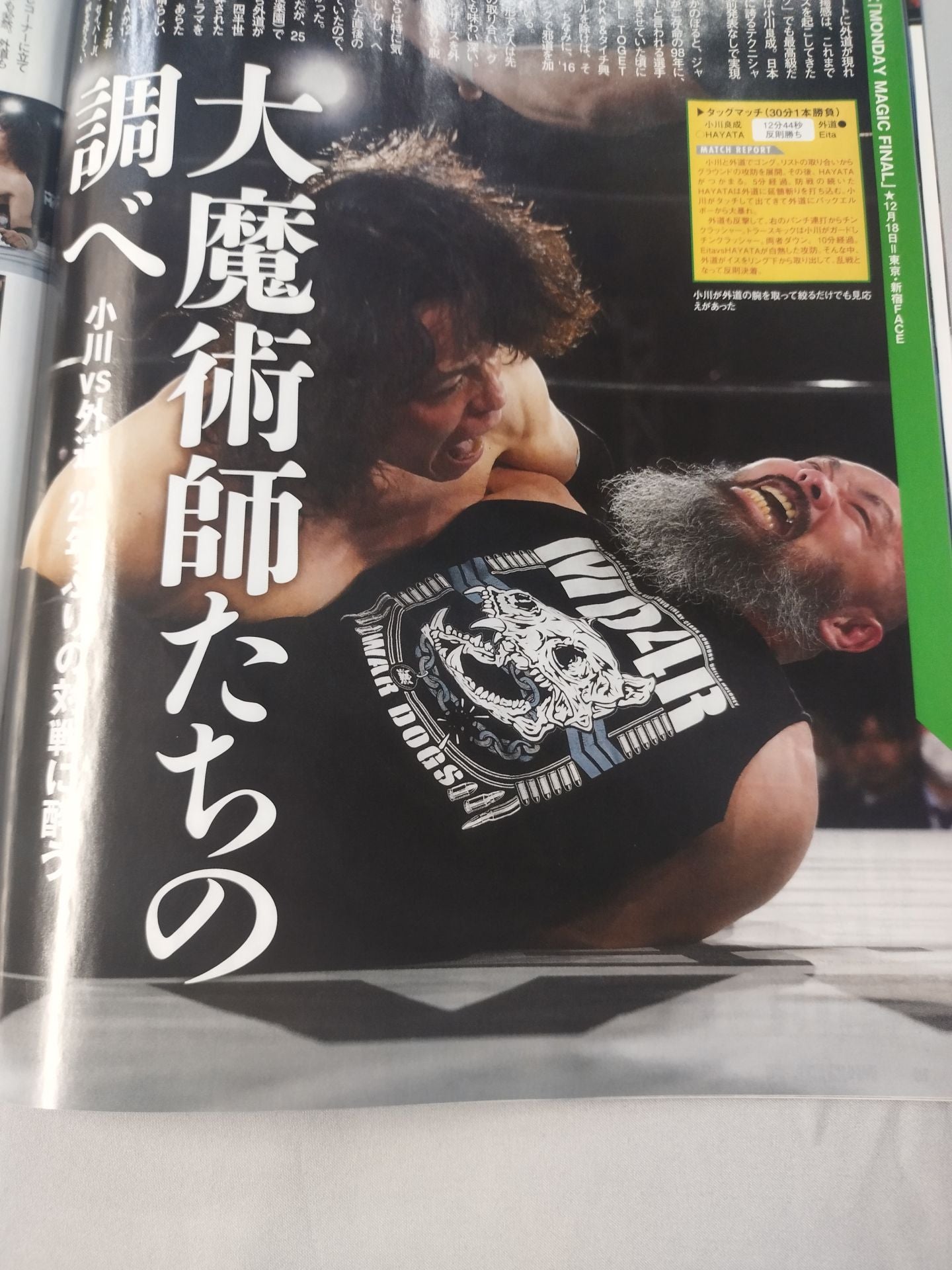 Weekly Pro Wrestling 2281