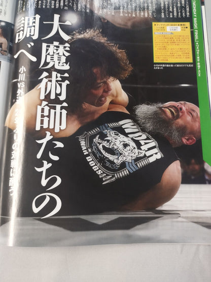 Weekly Pro Wrestling 2281