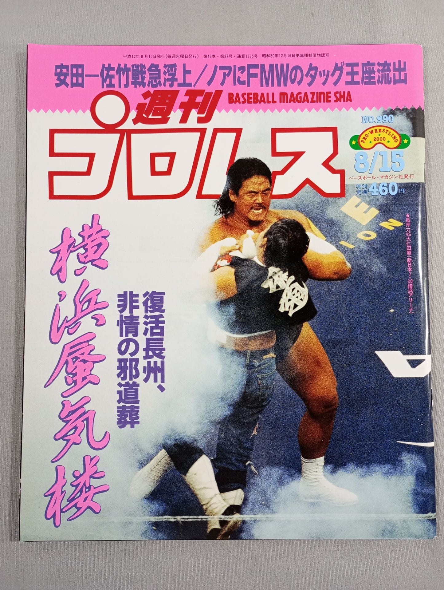 Weekly Pro Wrestling 990