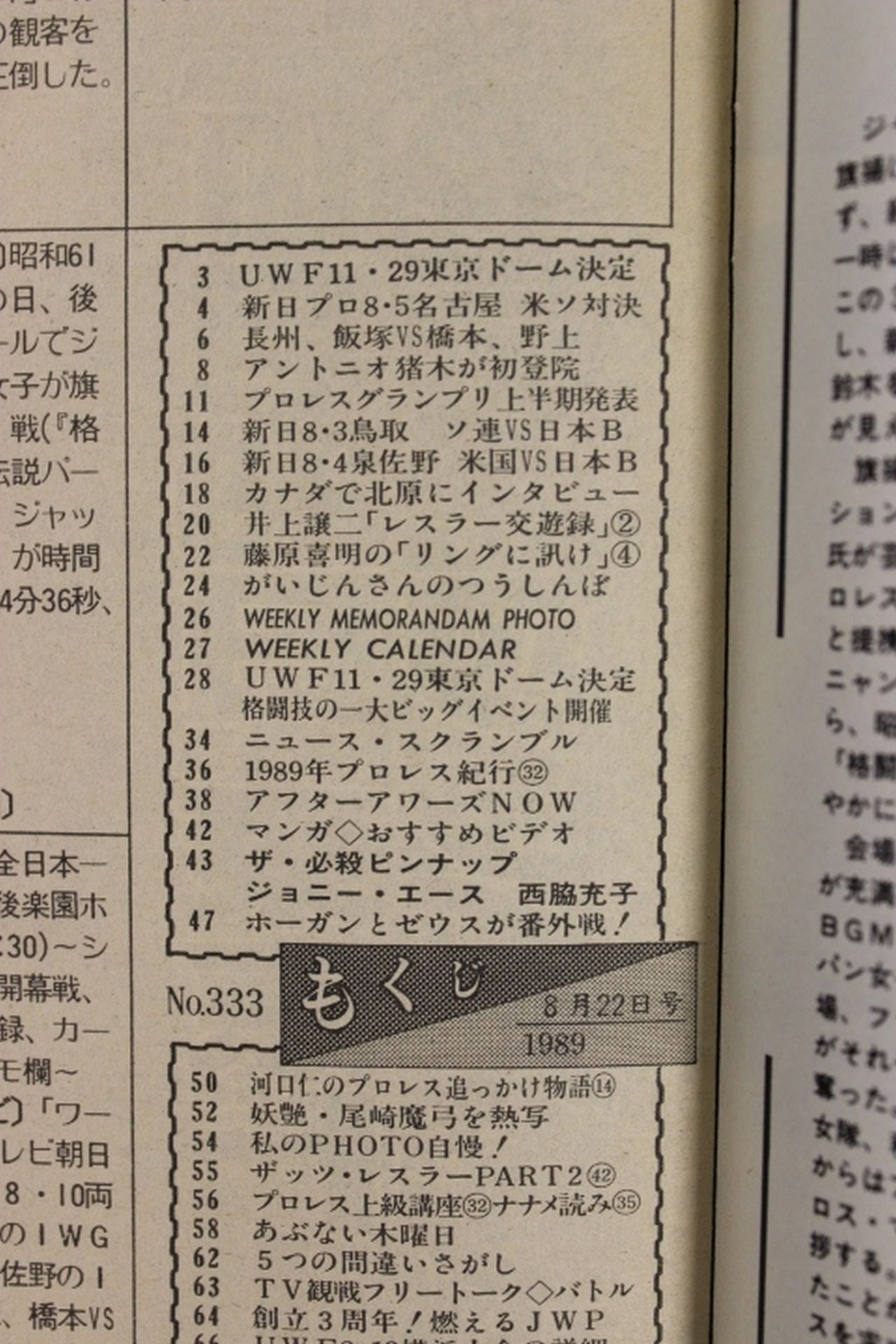 Weekly Pro Wrestling 333