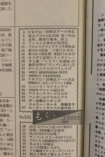 Weekly Pro Wrestling 333