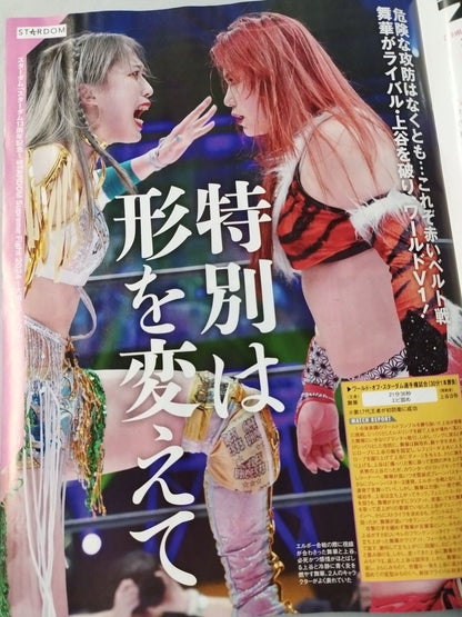 Weekly Pro Wrestling 2287