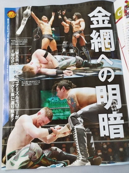 Weekly Pro Wrestling 2287