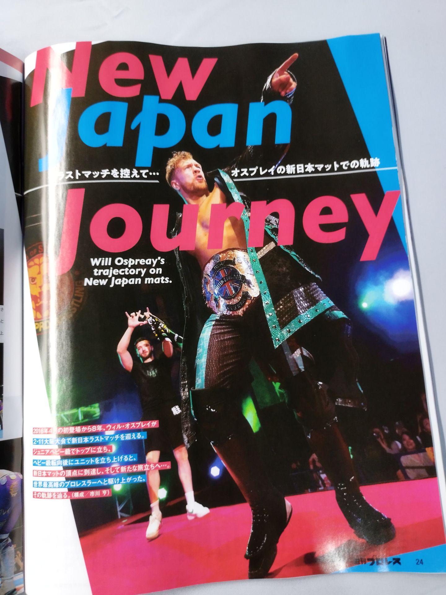 Weekly Pro Wrestling 2287