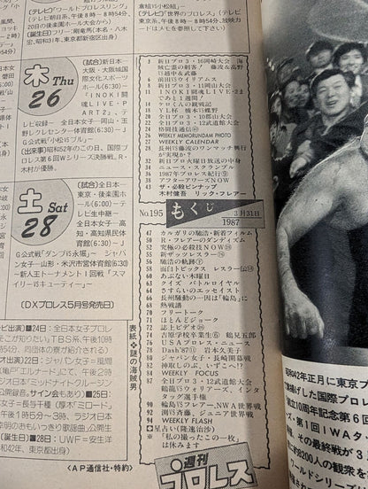 Weekly Pro Wrestling 195