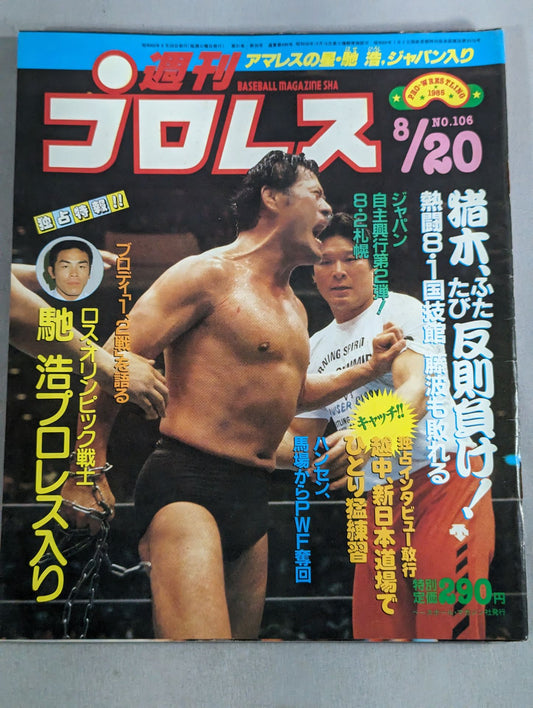 Weekly Pro Wrestling 106