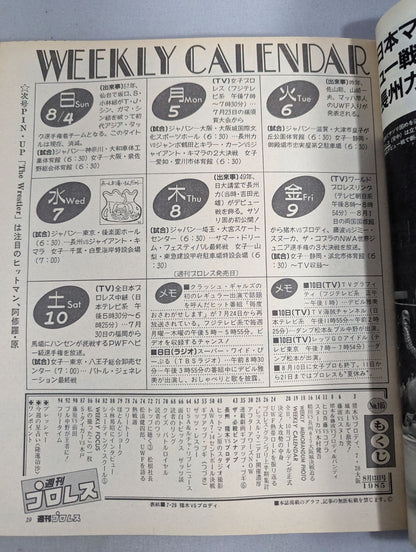 Weekly Pro Wrestling 105