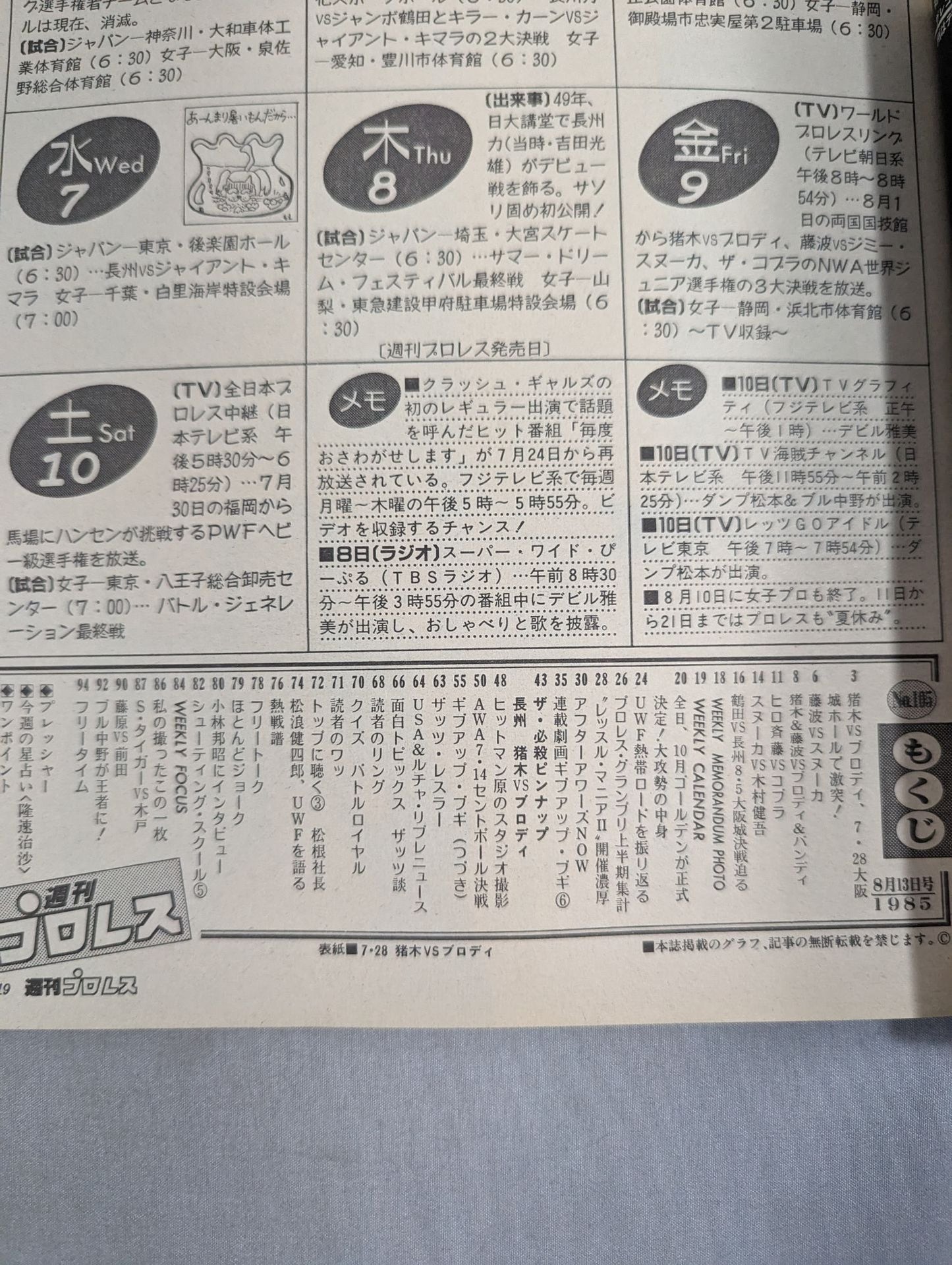 Weekly Pro Wrestling 105