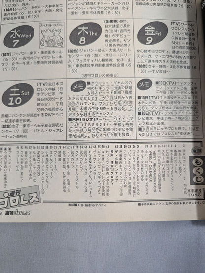 Weekly Pro Wrestling 105