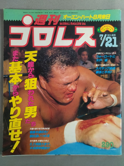 Weekly Pro Wrestling 213