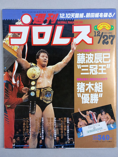 Weekly Pro Wrestling 291