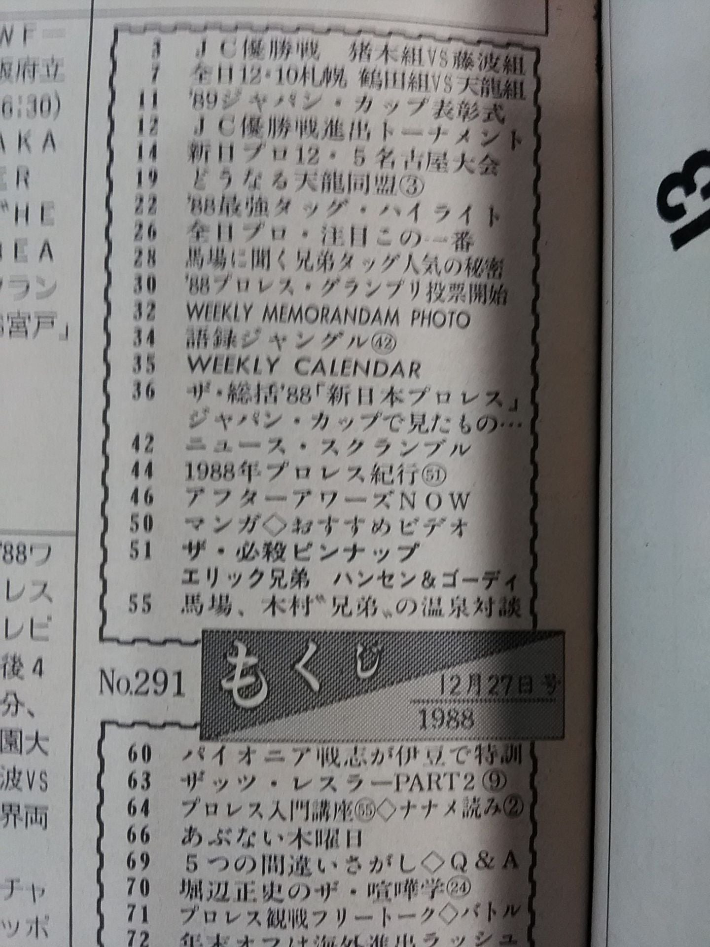 Weekly Pro Wrestling 291
