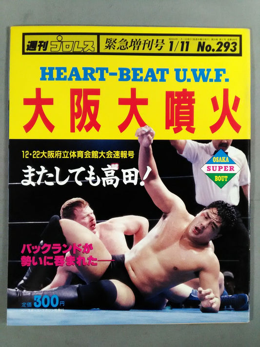 Weekly Pro Wrestling 293