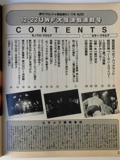 Weekly Pro Wrestling 293