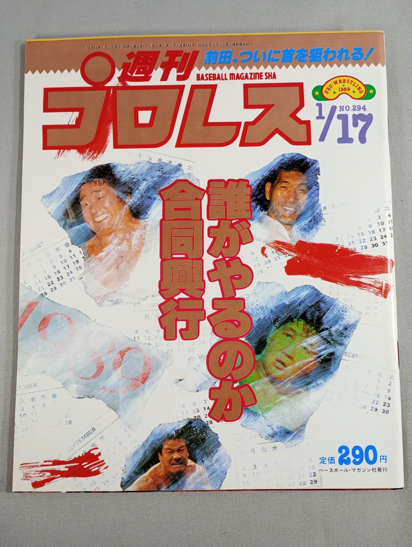 Weekly Pro Wrestling 294