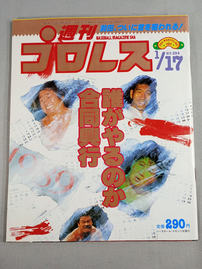 Weekly Pro Wrestling 294