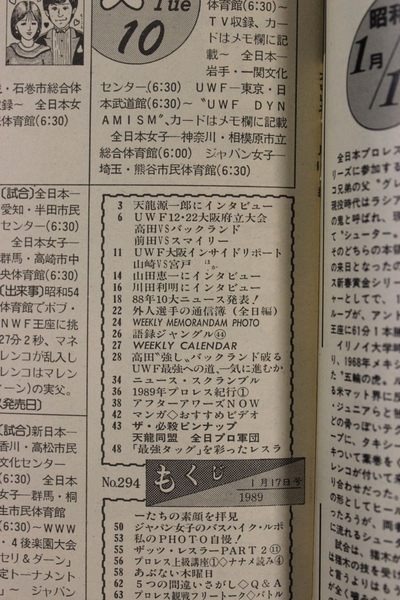 Weekly Pro Wrestling 294