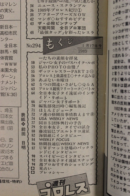 Weekly Pro Wrestling 294