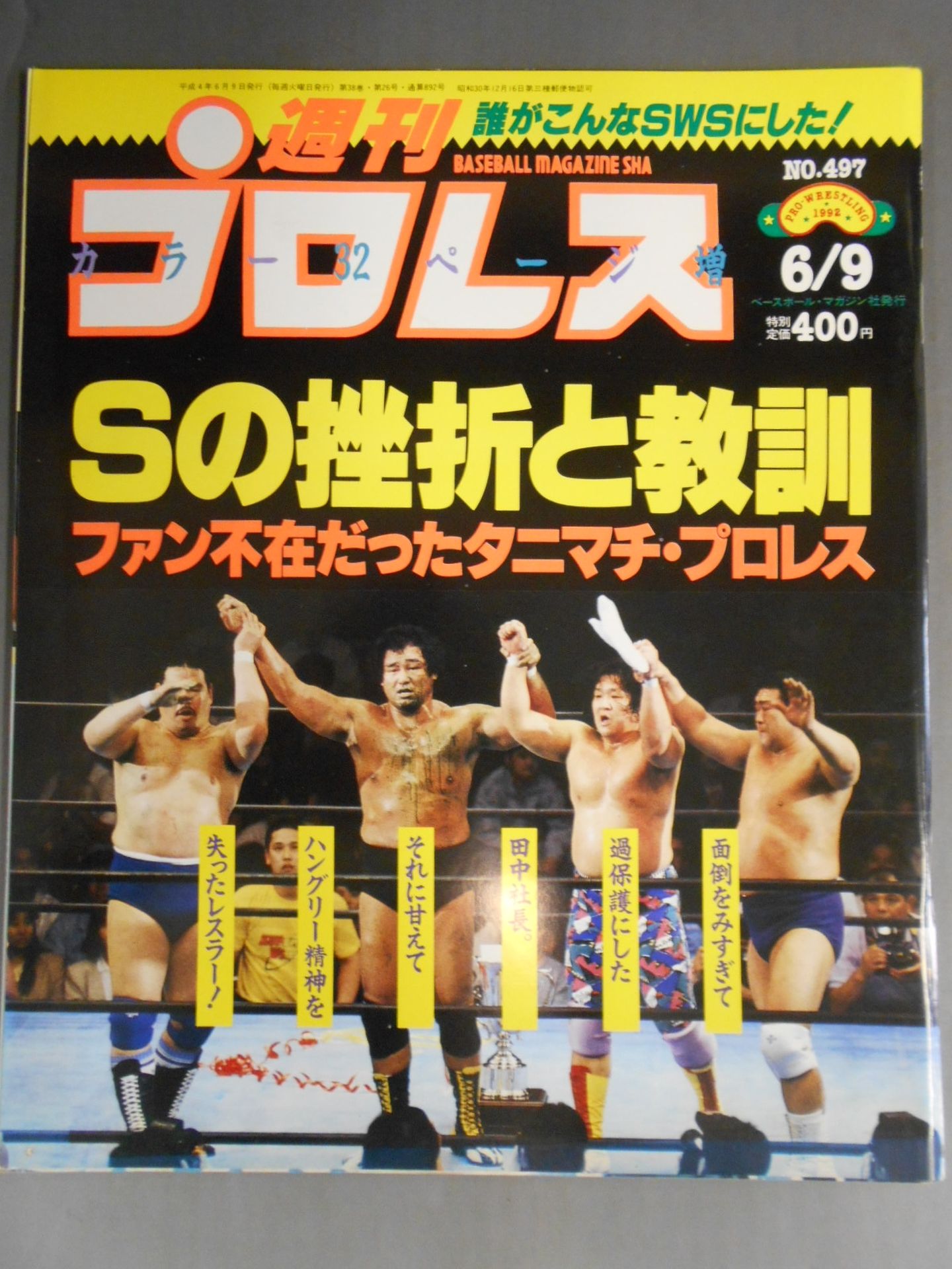 Weekly Pro Wrestling 497