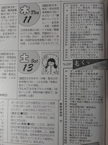 週刊プロレス207