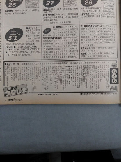 週刊プロレス133