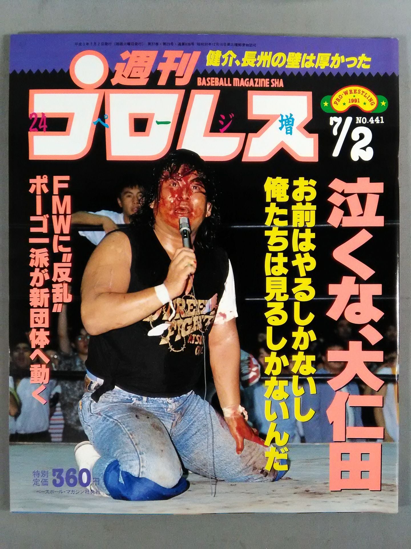 Weekly Pro Wrestling 441