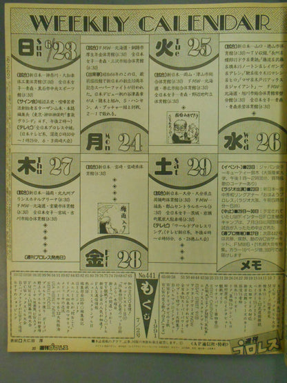 Weekly Pro Wrestling 441