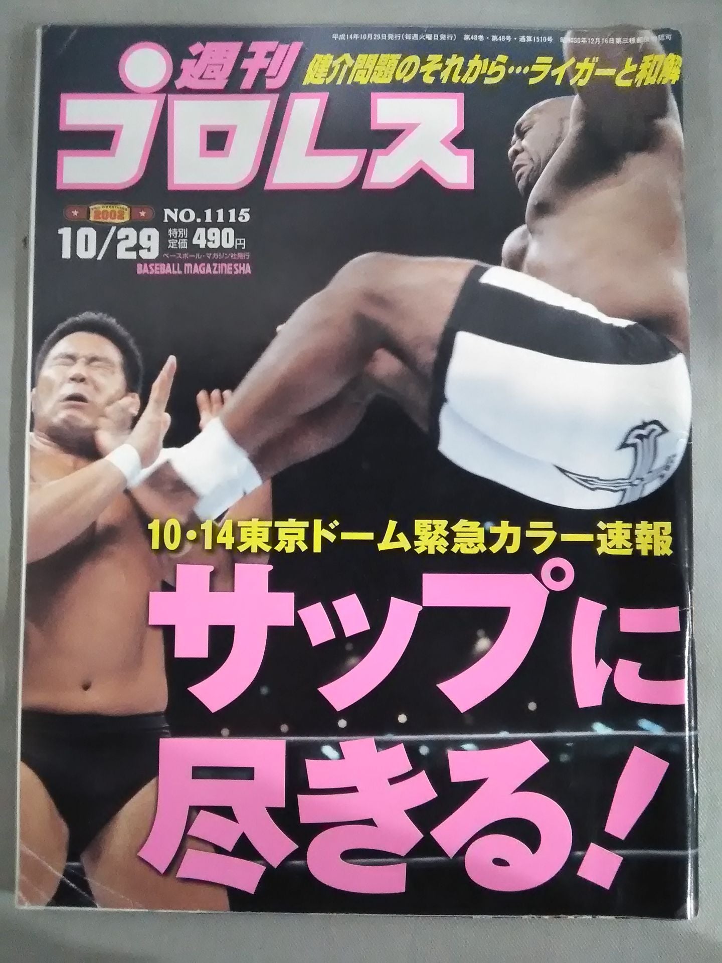週刊プロレス1115