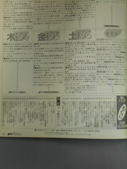 週刊プロレス1115