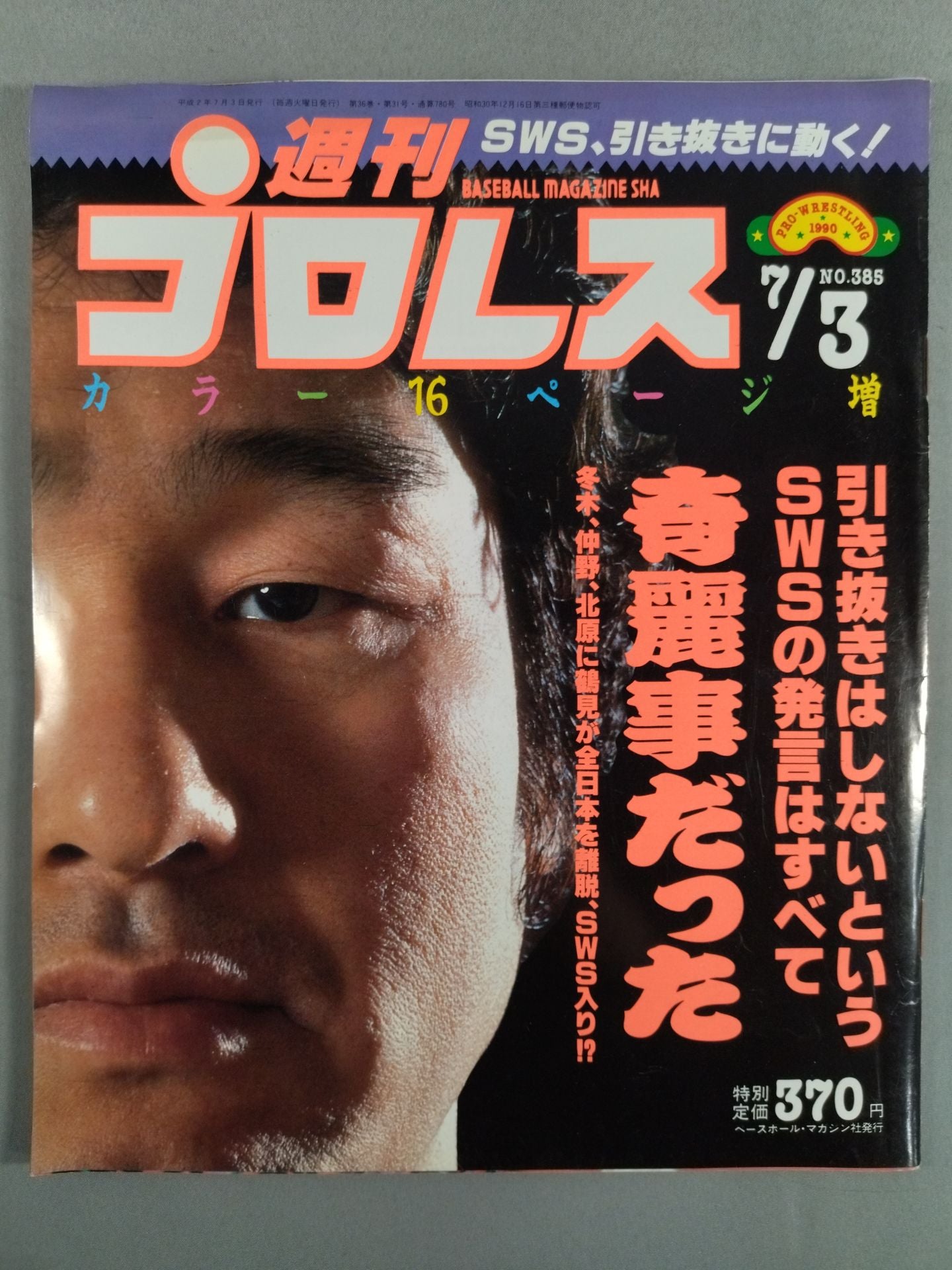 Weekly Pro Wrestling 385