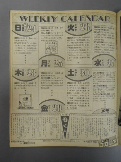 Weekly Pro Wrestling 385